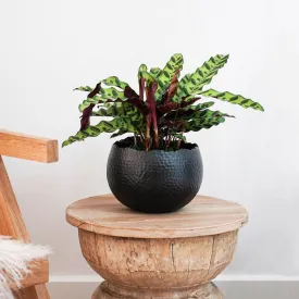 Black Marrakesh Hammered Bowl Planter